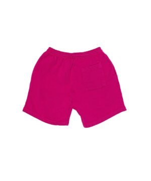 Alternative view of Webster Shorts